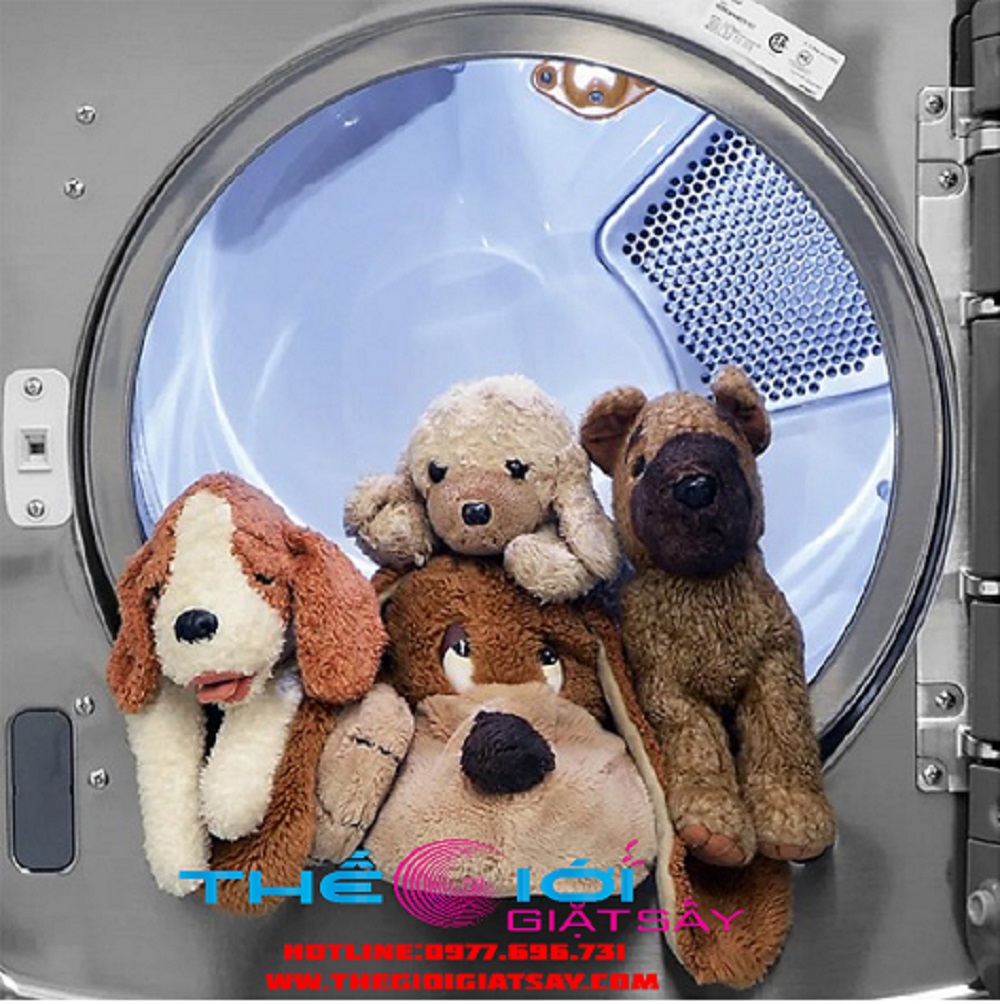 Dịch vụ giặt hấp gấu bông chuyên nghiệp tphcm